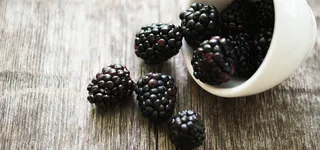 桑葚背景图高清