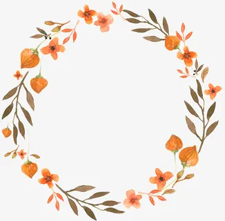 花圈花边花环免抠