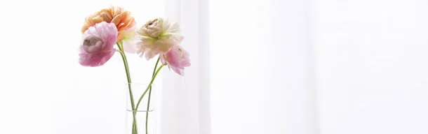 海报背景图
