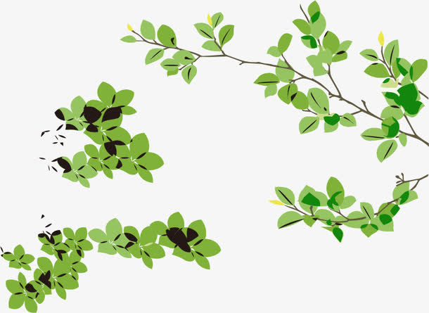 春天绿色海报叶子PNG矢量素材免抠
