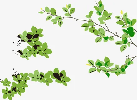 春天绿色海报叶子PNG矢量素材免抠
