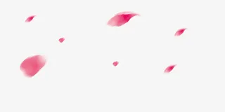 花瓣免抠