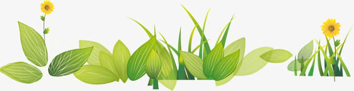 小草分栏线免抠