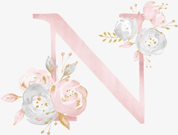 花朵字母N免抠