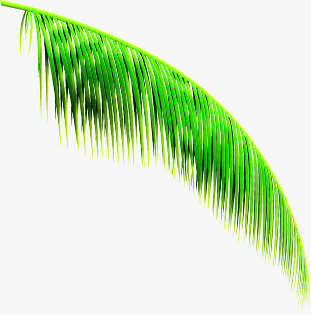 绿色清凉夏日树叶美景卡通免抠