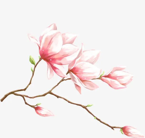粉色唯美水彩桃花免抠