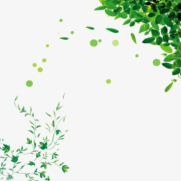 绿色植物 藤蔓素材免抠