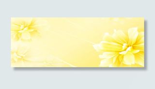 轮播版式 简约通用轮播banner