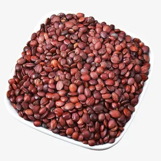 一碟酸枣仁免抠