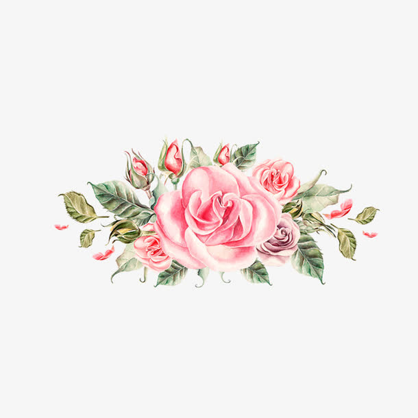 手绘牡丹花免抠