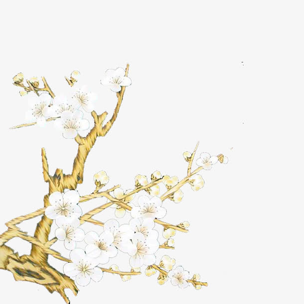 梅花免抠