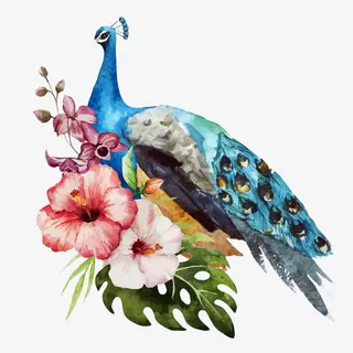 炫彩中国风孔雀花朵叶子免抠