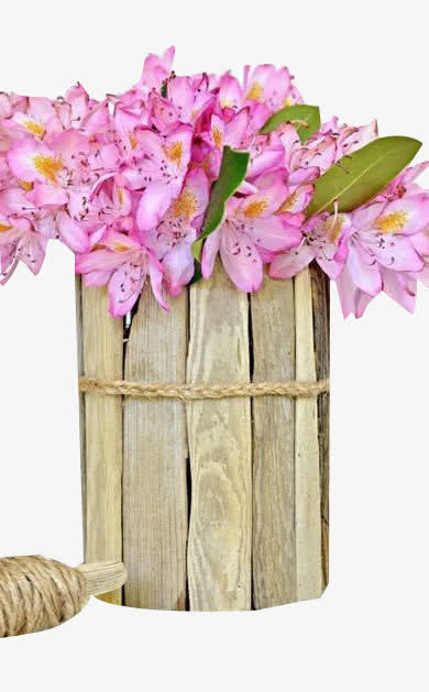 粉色鲜花免抠