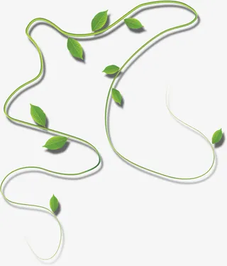 绿色精美春天枝条树叶免抠