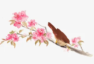 花瓣树枝小鸟枝叶免抠