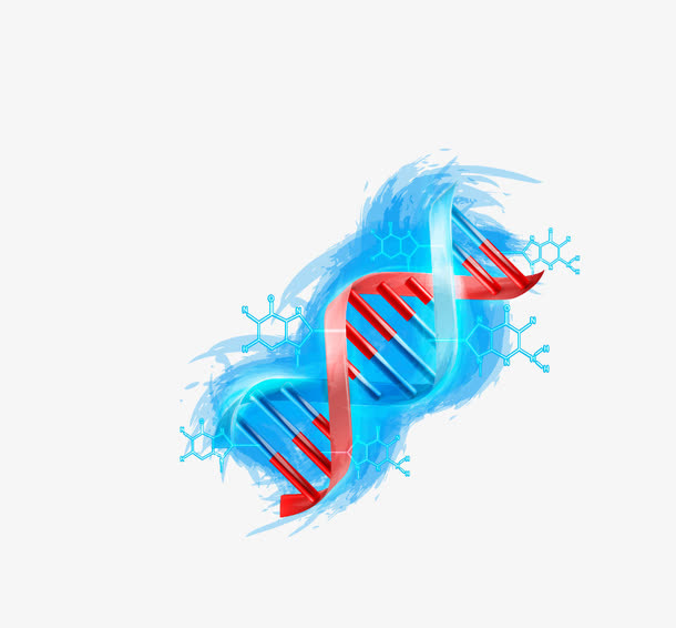 DNA免抠