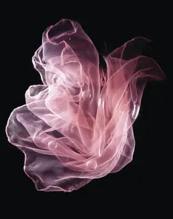 粉色半透明丝带丝巾免抠 粉色半透明丝带丝巾免抠
