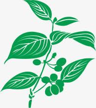 草药免抠