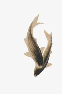 字画装饰鱼免抠