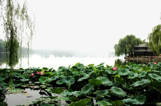 大明湖畔风景图片免抠