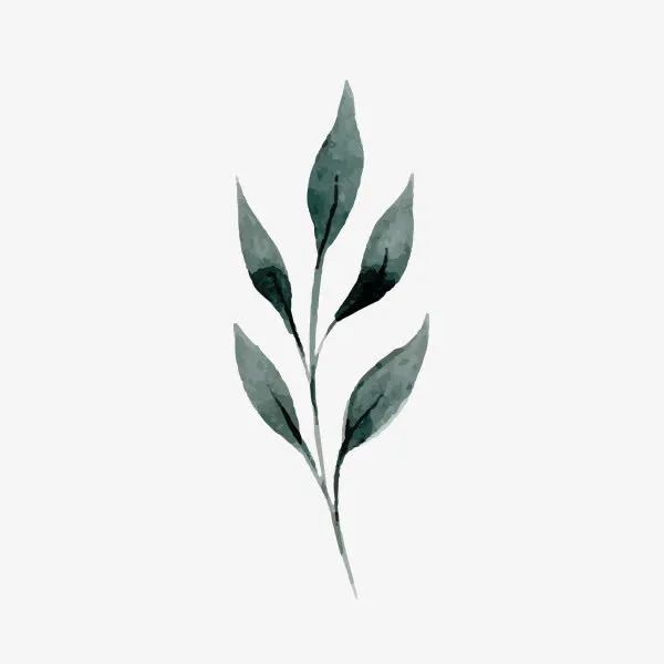 手绘水彩清新树叶素材免抠