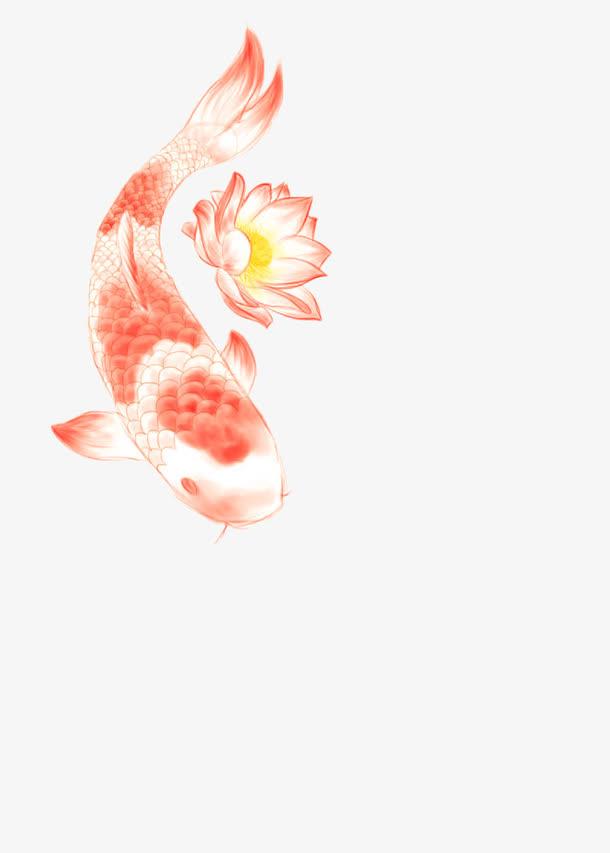 手绘锦鲤荷花免抠