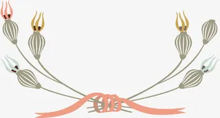 小清新元素免抠