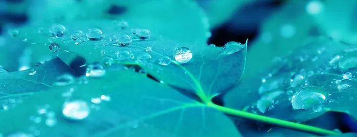淘宝 天猫 banner 背景高清