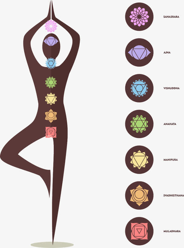 美容养生元素免抠