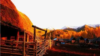 新疆旅游白哈巴村免抠