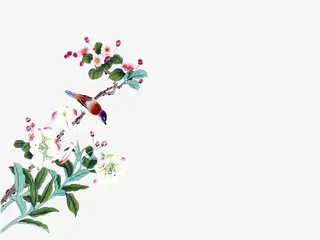 树枝上的喜鹊免抠