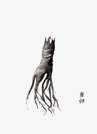 手绘中医中药素材免抠