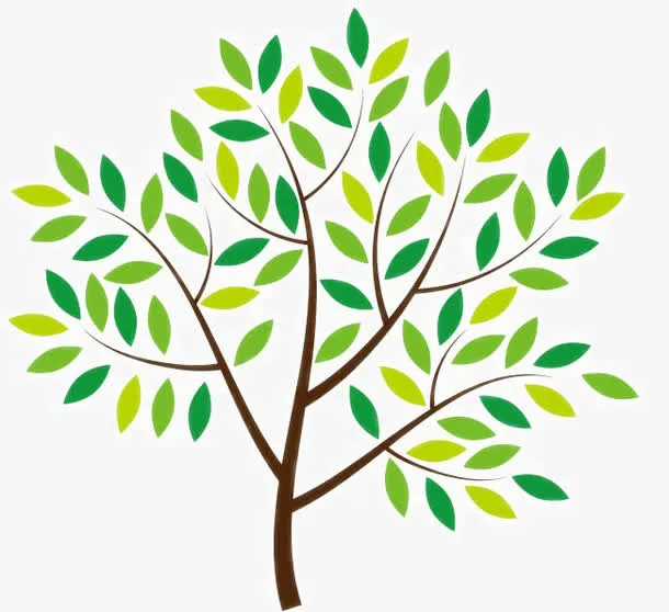 绿树叶大树免抠