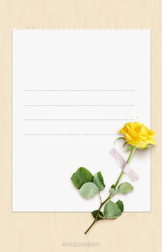 信纸黄色玫瑰高清
