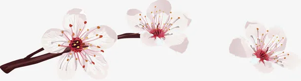 手绘桃花免抠