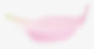 创意高清创意花瓣合成效果免抠