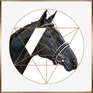 古典雅致黑色马头装饰画免抠