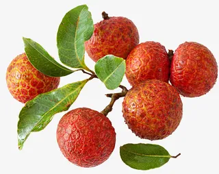 饱满的荔枝免抠