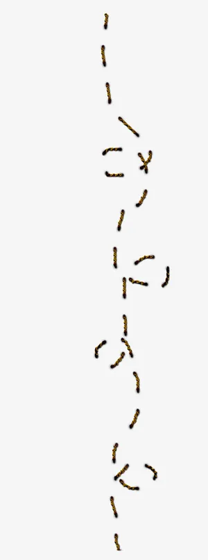 麻绳子嵌入的麻绳子缝补特效免抠