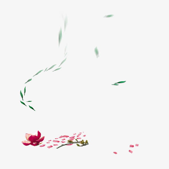 荷花落叶免抠