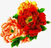 高清中国风花朵装饰免抠