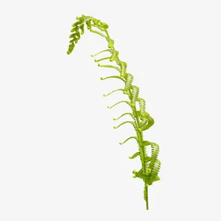 春天的绿叶免抠