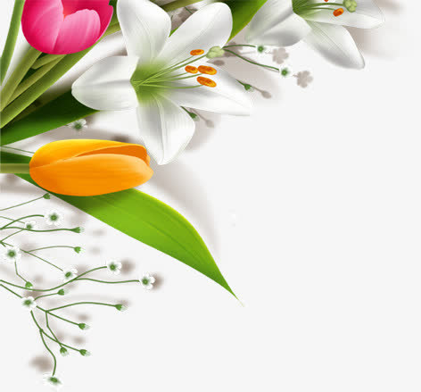 白色卡通鲜花花朵植物免抠