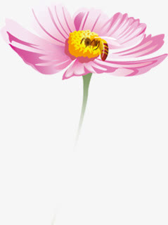 春天清新手绘粉色花朵免抠