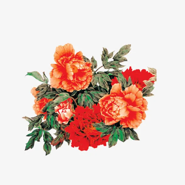 手绘红色牡丹绿叶图片免抠