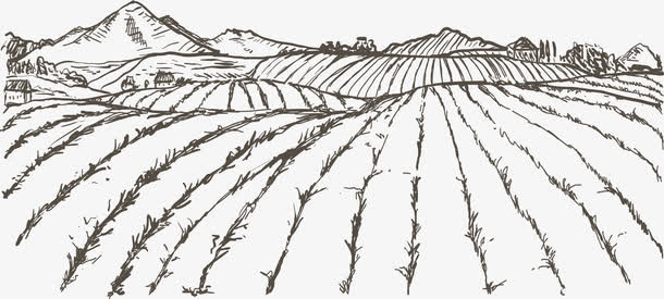 素描田地免抠