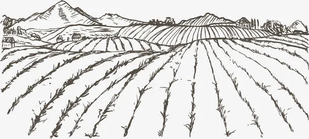 素描田地免抠