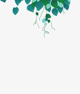 卡通藤蔓绿叶插画免抠