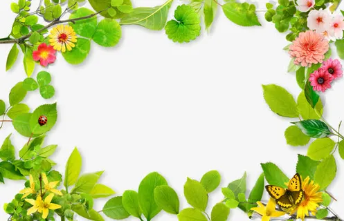 春天绿叶花朵边框素材免抠 春天绿叶花朵边框素材免抠