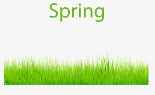 春天绿色茂密草丛免抠